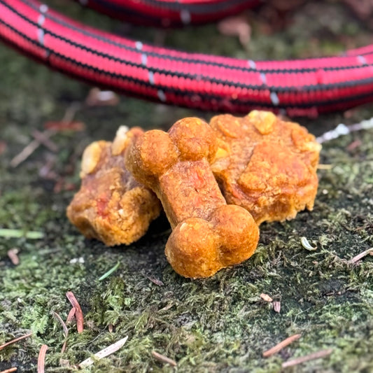 Totem Trails Dog Treats - 6oz