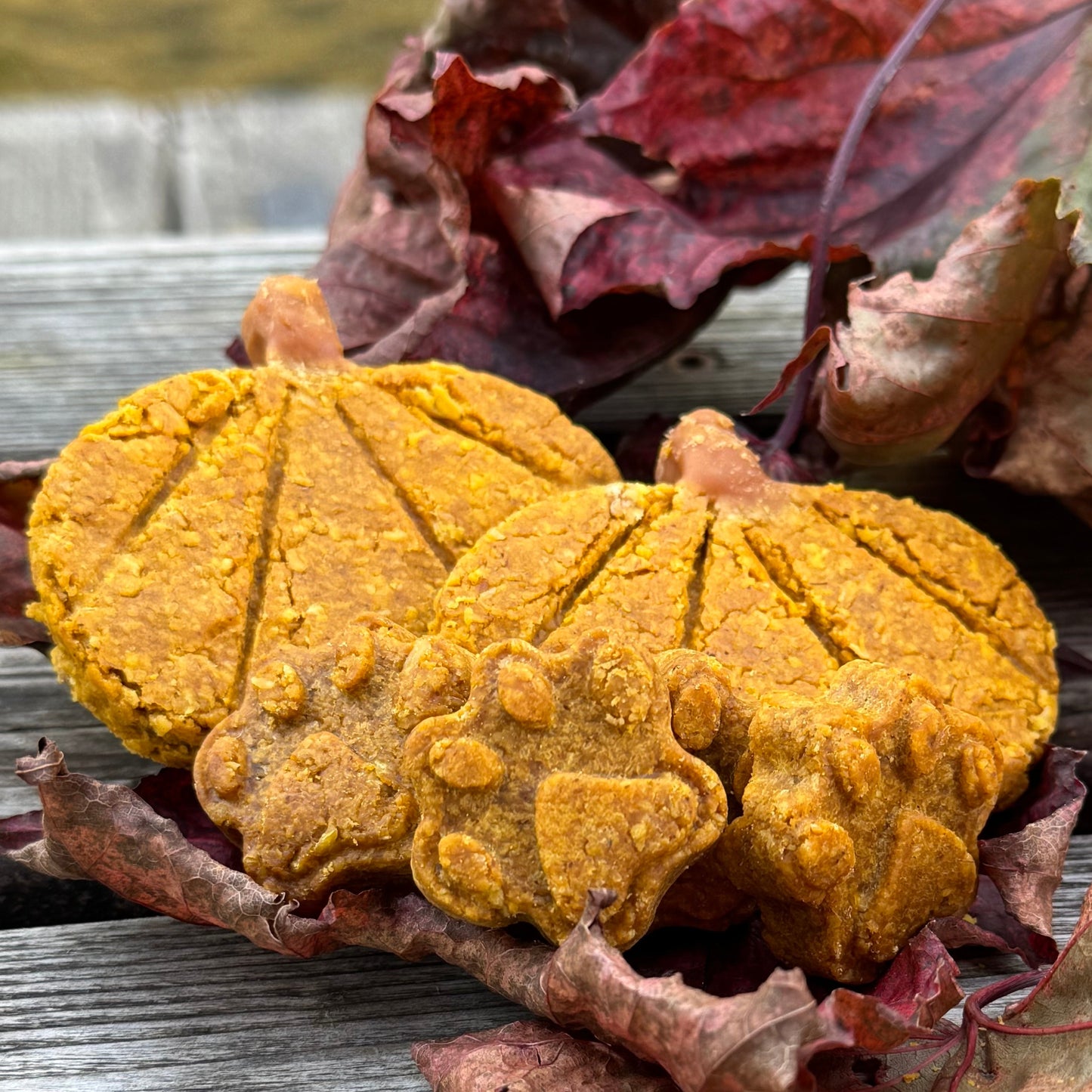 Pumpkin Paws Dog Treats - 6oz